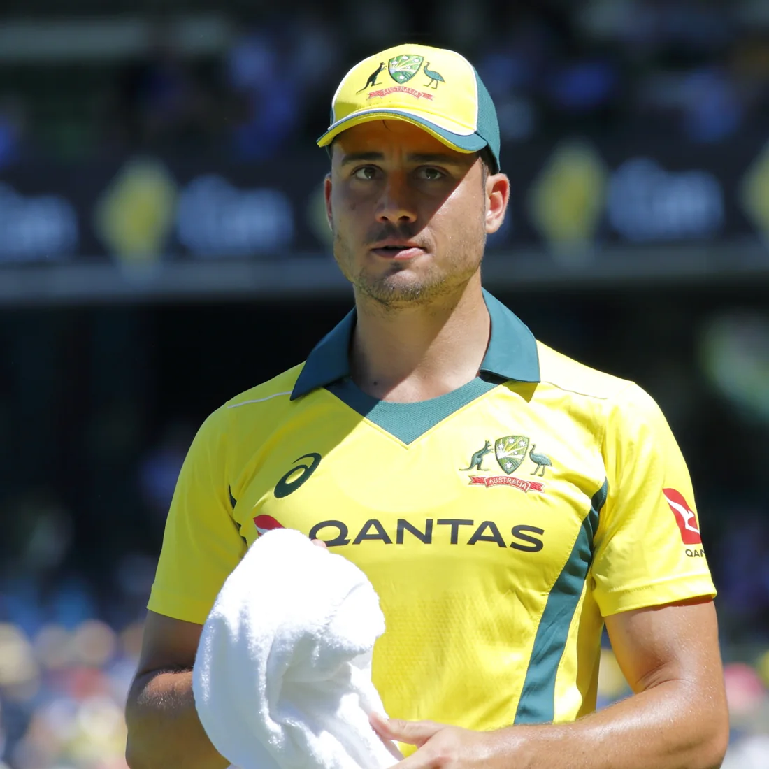 Marcus Stoinis — archival player photograph