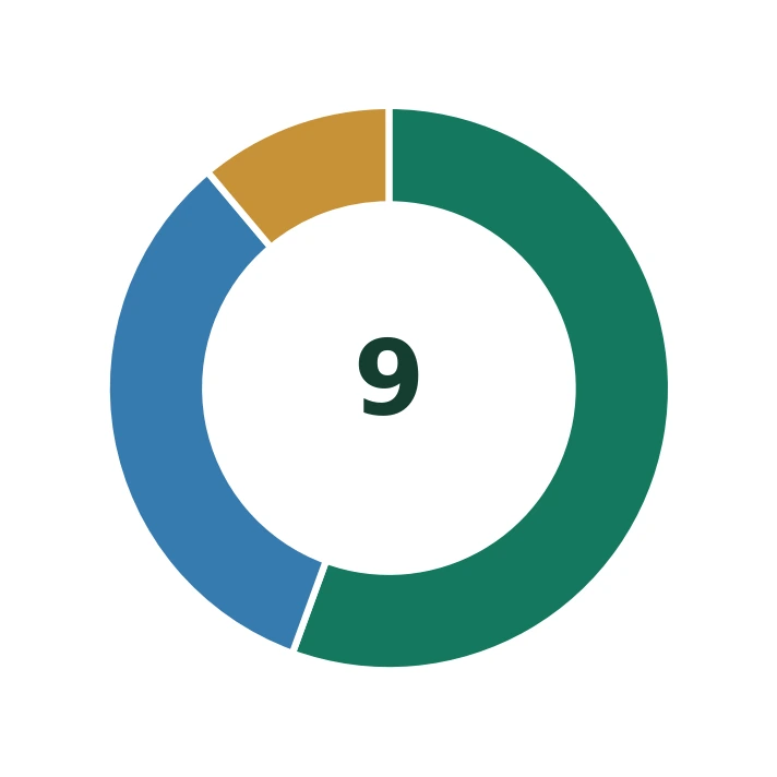 Donut chart of nine completed men’s T20Is: five chase wins, three batting-first wins and one regulation tie. The 2022 no-result is excluded.