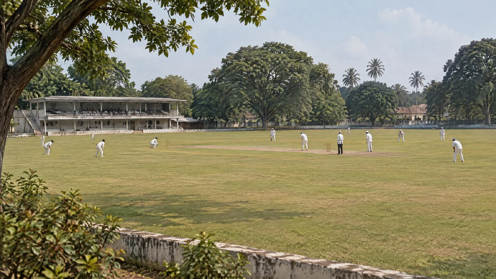 Historical reconstruction of cricket at Sankar Nagar