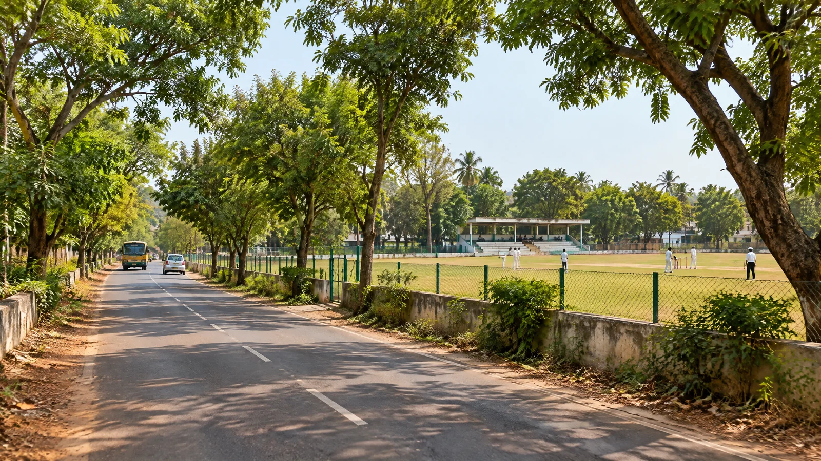Tree-lined road approach to Indian Cement Company Ground in Sankar Nagar
